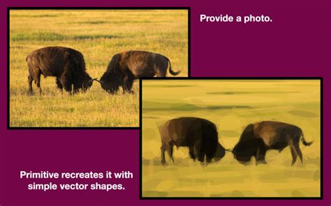 Shape Collage Pro 3.1