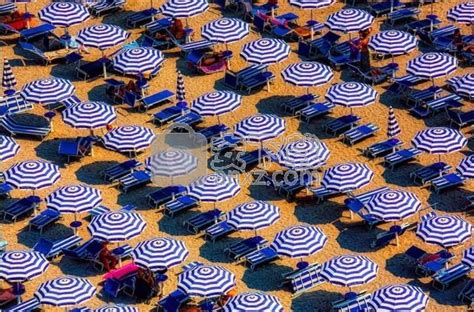 WidsMob Montage 2.6.0.86 Download