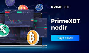 En İyi PrimeXBT Promo Codes ile Ticaret Yapmanın Yolları