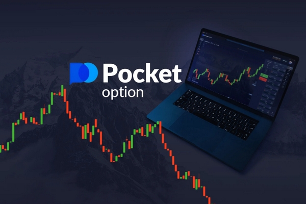 Профессиональный обзор платформы Pocket Option
